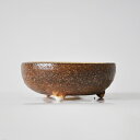 盆栽鉢 山野草鉢 信楽焼 鉄鉢 茶系 小 幅 11cm 高さ 4cm 3.5号 〜 4号 盆栽妙 ミニ盆栽鉢 陶器鉢 ミニ 鉢 盆栽用 和風 植木鉢 和鉢 小鉢...