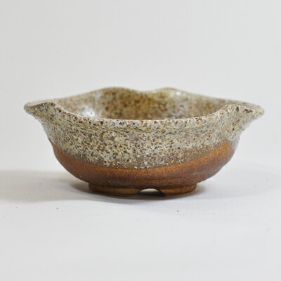 鉄砂三方曲げ　[盆栽鉢][4号][信楽焼] 幅11.5cm×高さ4cm【盆栽鉢 4号 鉄砂三方曲げ　 信楽焼 植木鉢】