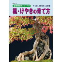 盆栽道具 【書籍】盆栽 楓・けやきの育て方本 ブック 近代出版
