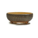 盆栽鉢 山野草鉢 信楽焼 陶器鉢 幅 約 19cm 高さ 約 7cm 鉄鉢 茶色 黄土色 6号 〜6.5号 ミニ盆栽 小品盆栽 寄せ植え 山野草 鉢 浅型 植木...