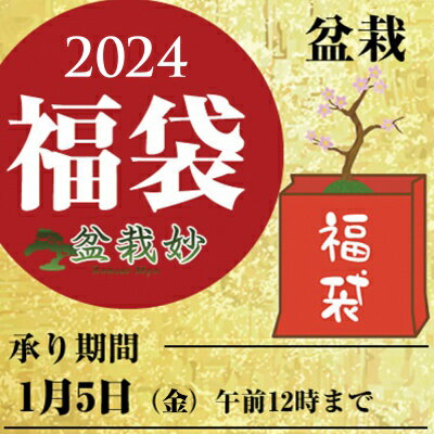 盆栽妙オリジナル新春福袋 ミニ盆栽計4点 五葉松/長寿梅/桜から選べる おまかせ山野草 おまかせ盆栽 鉢植え 趣味 盆栽をはじめる 五葉松 長寿梅 桜 山野草 ミニ盆栽 盆栽妙