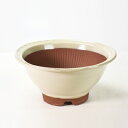 盆栽鉢 山野草鉢 万古焼 クリームスリ鉢 7号 幅23cm×高さ10.5cm