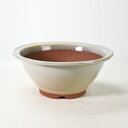 盆栽鉢 山野草鉢 万古焼 クリームスリ鉢 8号 幅26cm×高さ11.5cm
