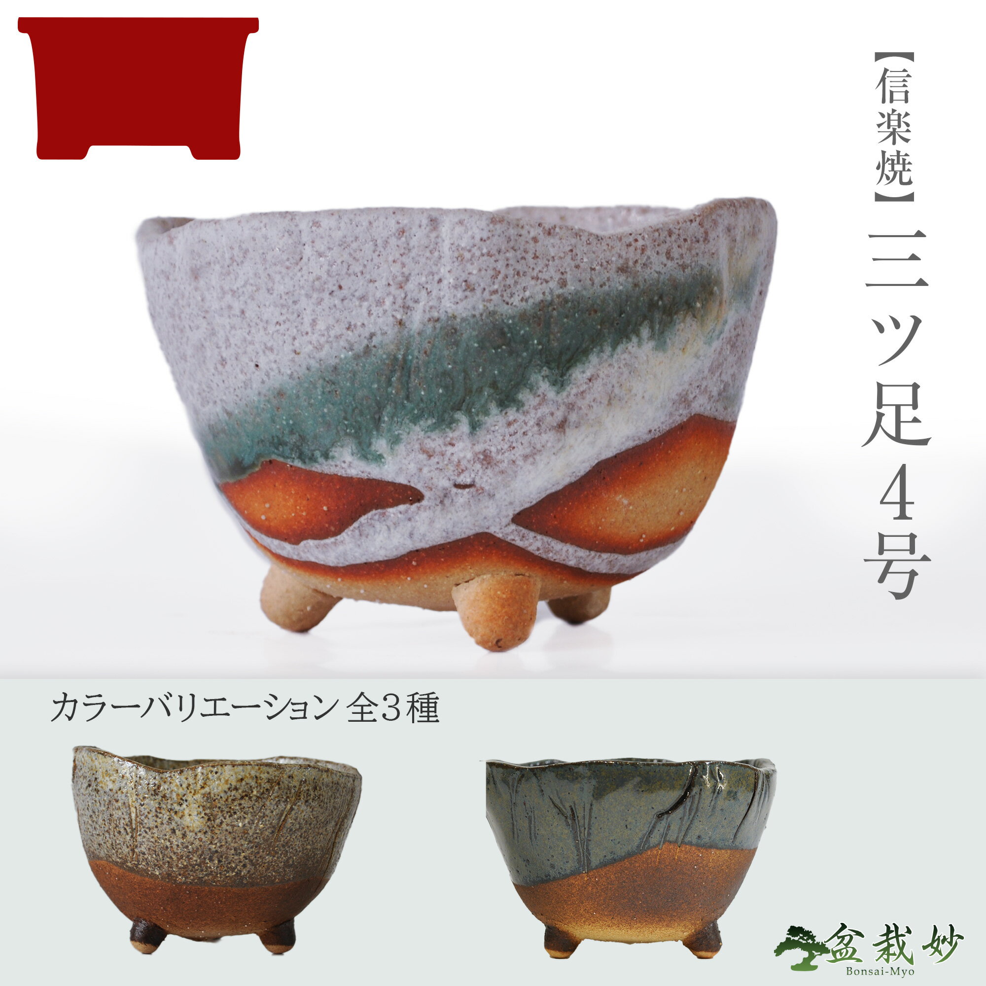 0_hachi_122.jpg 0_hachi_122.jpg