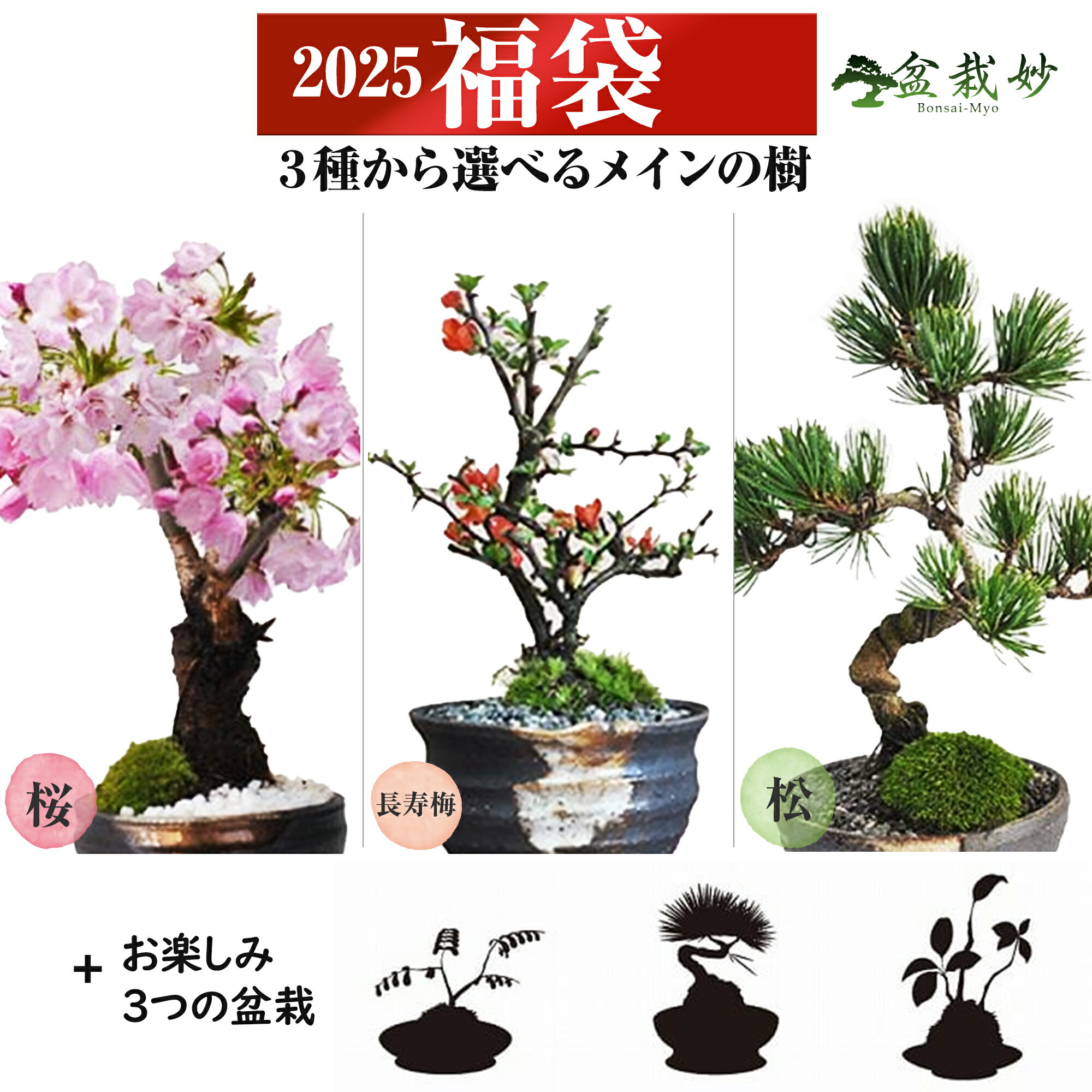 盆栽妙オリジナル新春福袋 ミニ盆栽計4点 五葉松/長寿梅/桜から選べる おまかせ山野草 おまかせ盆栽 鉢植え 趣味 盆栽をはじめる 五葉松 長寿梅 桜 山野草 ミニ盆栽 盆栽妙