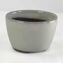 盆栽鉢 万古焼 クリーム2.5号丸切立 幅8cm奥行8cm高さ5.3cm 植木鉢 山野草鉢 陶器鉢 盆栽 苔盆栽 観葉植物 多肉植物