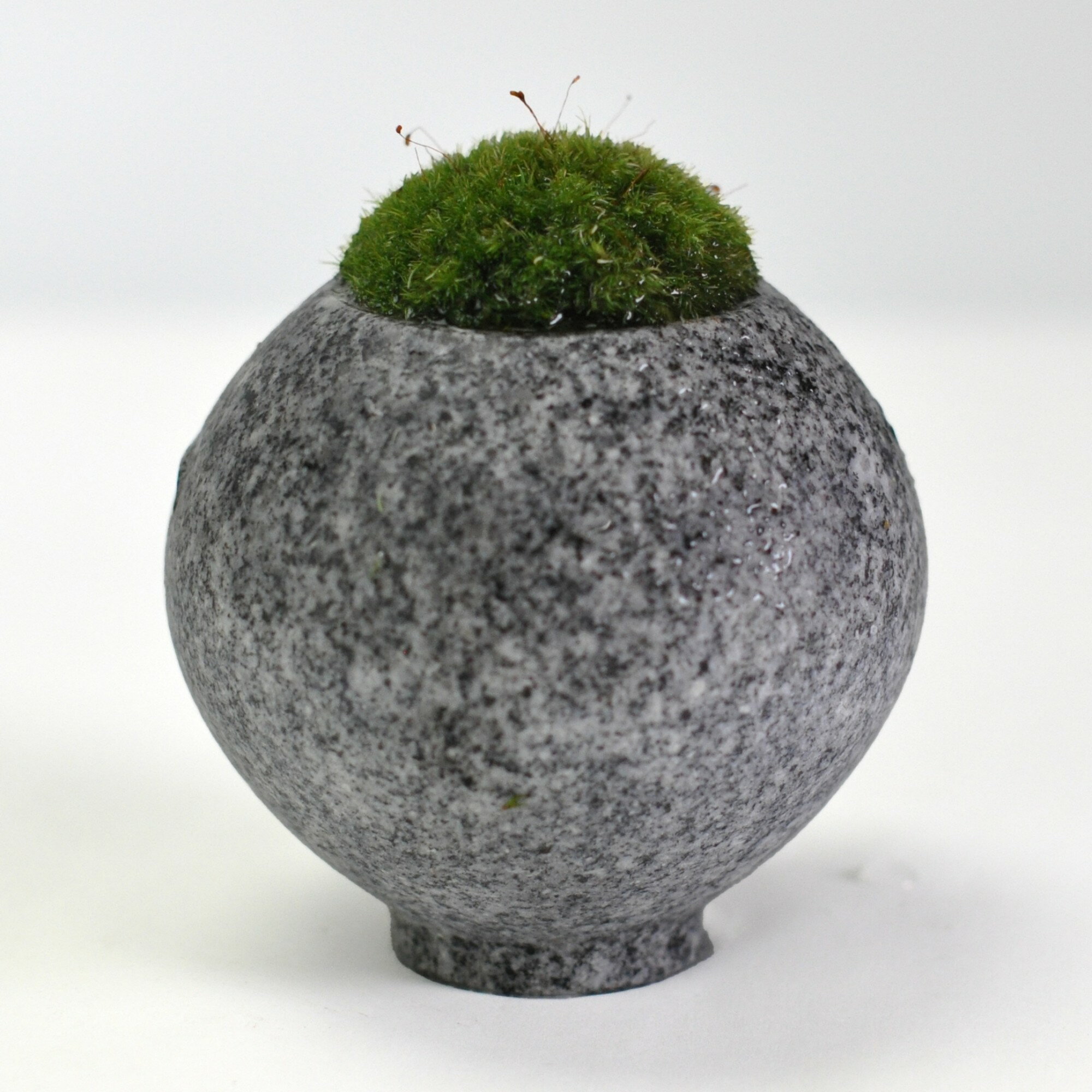 庵治石の器 苔盆栽 フリーザ インテリアグリーン 和風 和モダン 石の器 御影石 高級石