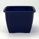 プラ鉢 2.5号 正角鉢 青 幅8.3cm×高さ6.3cm ミニ盆栽 ミニ観葉 多肉植物 塊根植物 苔盆栽 プラスチック鉢 プラスチックポット