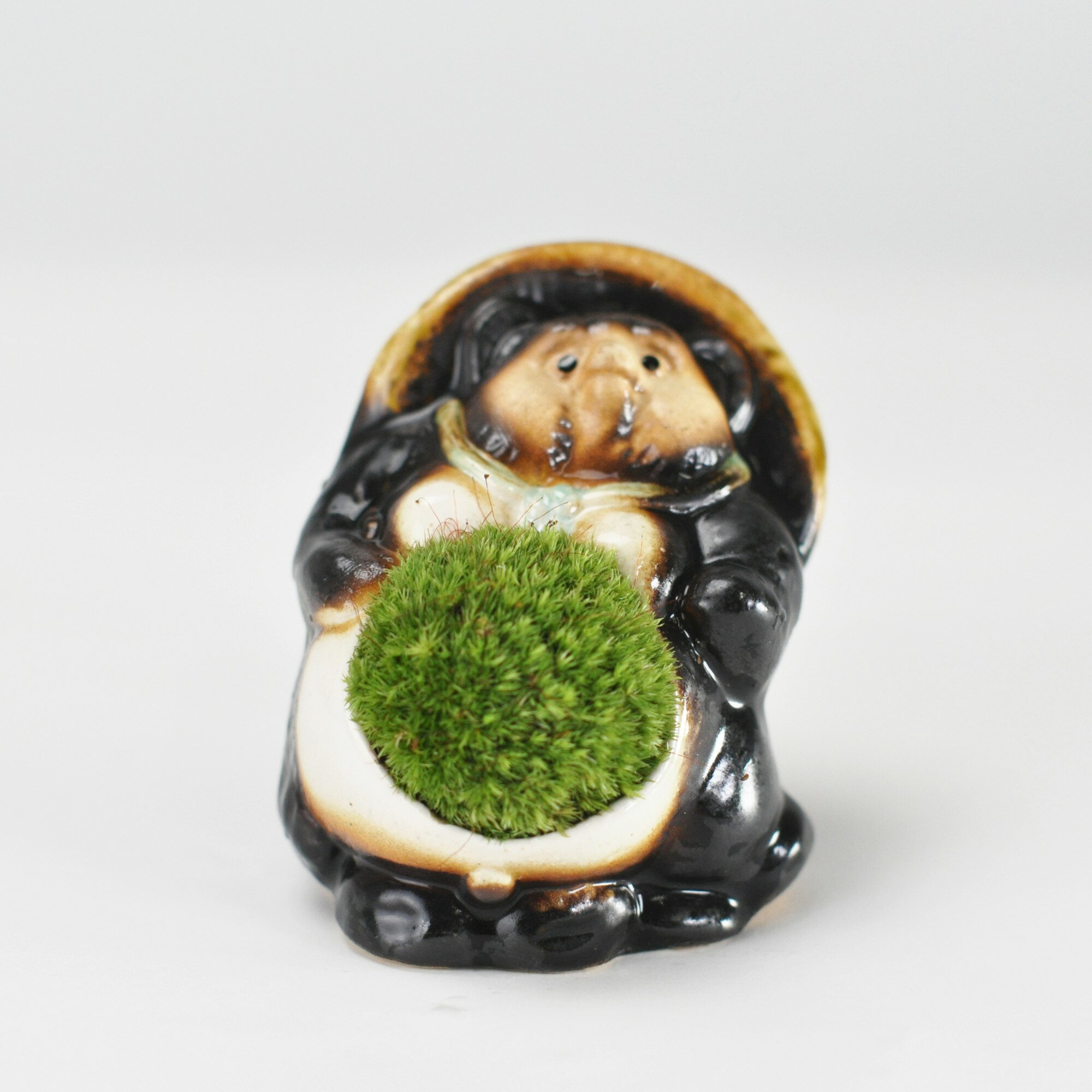 信楽焼福たぬきの苔盆栽 オス プレゼント ギフト 贈り物 誕生日 記念日 母の日 父の日 敬老の日