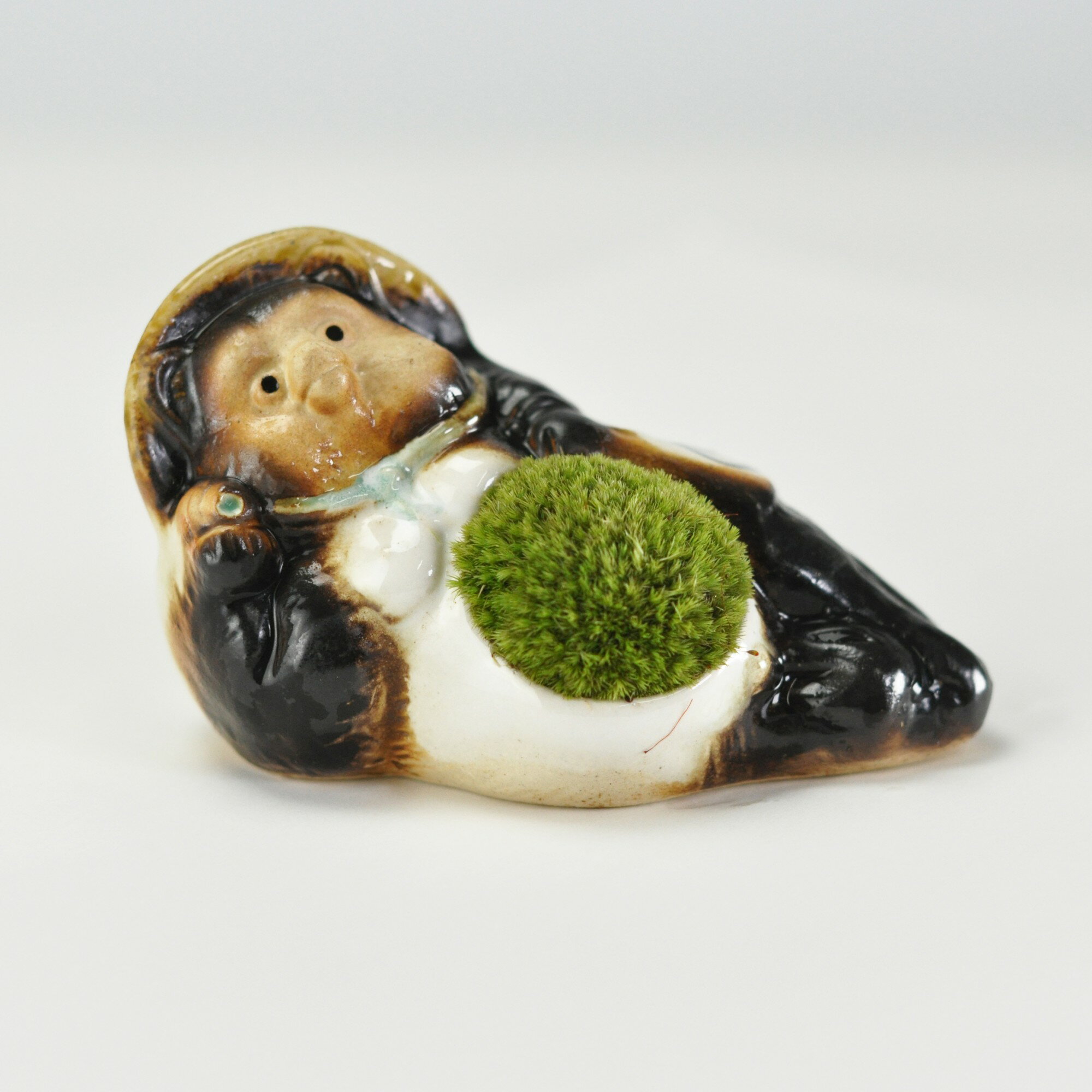 信楽焼福たぬきの苔盆栽 寝たぬき プレゼント ギフト 贈り物 誕生日 記念日 母の日 父の日 敬老の日