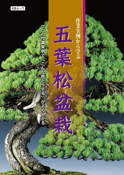 判型：A4　総頁128頁（オールカラー） オールカラーの作業ガイド　五葉松版が登場！ 小品から大物盆栽・八ッ房品種までを幅広く網羅 A4判の大きな誌面と豊富な写真をオールカラーで掲載し好評を博した人気シリーズの第2弾。黒松と並ぶ樹種「五葉松」が満を持して登場です。植え替えを初めとする適期作業を実践的な内容で詳細解説。大物から小品、さらには八ッ房品種の樹づくりまで幅広くカバーしており、ベテランの方にも参考にして頂けます。五葉松愛好家必携の一冊！ ※送料無料サービス 【 目 次 】 追跡実技 　・長大な幹の段階的な切除と樹形構想の変化 追跡実技 　・株立ちの主幹を三分割　風を感じる樹形へ 追跡実技 　・大胆な植え付け角度の変更で新たな可能性を拓く 剪定・整姿篇 　・太幹直幹に見る枝抜きと針金かけ 　・枝棚づくりの基本と応用 　・感性で欠点を補う針金かけ 　・付録　針金かけの基本ガイド 植え替え篇 　・通常の根処理と締め込みを目的とした根処理の違い 　・樹の状態に合わせた台土更新の判断 　・長期間植え替えられていない樹の根処理実例 　・強い改作をした樹をいたわる植え替え法 　・付録　五葉松盆栽の用土 培養管理・繁殖篇 　・年間作業スケジュール&培養管理ガイド 　・消毒の基本と主要病害虫の対策ガイド 　・実生・取り木　繁殖法基本ガイド 　・コラム　産地と葉性 改作実技実例篇 　・主幹切断　子幹に秘めた幹芸を開花させる 　・大物から貴風へ　利き枝切除で樹本来の持ち味を活かす 　・散漫な姿を引き締め、石付から三幹根連なりの鉢姿へ 　・サバを噛む幹を畳み込み、凝縮感に満ちた中品樹への転身 　・コブ状に変形した幹上部を切断し幹模様を強調 　・盆樹としての可能性を拓く、残された一枝 　・役枝を失った樹　枝操作のみで樹姿のバランスを改善 　・付け石からの離脱で得られた古木の将来性とは 　・石付五葉松　樹格に合わせた「石替え」 　・苗木を使った石付盆栽創作 小品盆栽改作篇 　・大物から小品へ「美の凝縮」 　・小品五葉松・古木の締め直し 　・石付から「抽出」する太幹小品 　・正面変更で大木感を強調する 八ッ房篇 　・八ッ房五葉松とは?　〜その歴史と展望〜 　・瑞祥の枝表現を考える「五葉づくりの枝」 　・瑞祥の魅力・樹づくり・培養管理