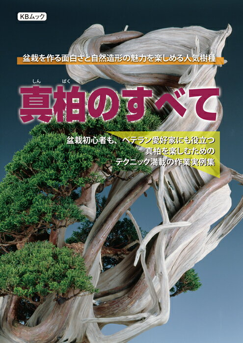 判型：A4　総頁128頁（オールカラー） 彫刻作品のようなシャリとジンの造形美、丸みのある柔らかな葉性。こうした高い鑑賞価値に加えて、強健な樹性で樹を「作る」楽しみも味わえることで、初心者からベテラン愛好家まで幅広い人気を集める「真柏」の別冊発刊が決定! 　真柏の適期作業や培養管理、シャリ彫刻の方法、芽接ぎや衣替え、繁殖法の他、真柏の魅力が体現された名木集や盆栽として作られるようになった歴史に至るまで、真柏のすべてをこの一冊に凝縮。まさしく真柏盆栽本の決定版です。 ※送料無料サービス 【目次】 真柏盆栽 名品集 ・追跡改作実技1 　落ち枝にこだわった樹形構想と角度で「動」を演出 ・追跡改作実技2 　大胆な幹曲げを伴う正面・角度変更で国風展入選を果たす ・追跡改作実技3 　正面・角度変更を伴う改作構想を導いたシャリ分断の技 基本作業篇 ・剪定・整姿作業実例1 　隠れた幹芸を引き出し、真柏らしい躍動感　を再生する整姿 ・剪定・整姿作業実例2 　乱れた枝棚を整え、展示会に出品できる姿　に仕上げる剪定・整姿 ・剪定・整姿作業実例3 　完成木を維持しながら樹格向上を図る剪定・整姿 ・剪定・整姿作業実例4 　凡庸とした素材に真柏らしい躍動感を与える枝抜き・整姿 ・生長期の芽つみ・葉透かし　作業ガイド ・植え替え作業実例1 　植え付け角度変更を叶える太根曲げの秘策 ・植え替え作業実例2 　単調な幹を根巻きで凝縮して中品に改作 ・植え替え作業実例3 　樹格の向上を狙ったシャリ切断と角度変更の植え替え ・植え替え作業実例4 　不安定な樹を安定させる固定のコツ ・ジン・シャリ彫刻作業実例1 　天然のジン・シャリの芸を引き出す彫刻の妙味 ・ジン・シャリ彫刻作業実例2 　挿し木の新木素材を使ったジン・シャリ彫刻のコツ ・ジン・シャリ彫刻作業実例3 　水吸い操作で完成段階にある樹の樹格アップを図る ・ジン・シャリ彫刻のコツと清掃方法　作業ガイド 改作作業篇 ・改作作業実例1 　屈曲する幹模様の嫌味を個性に変える発想の転換 ・改作作業実例2 　持ち味である板シャリを前面に。表裏逆転による樹冠の操作 ・改作作業実例3 　持ち崩した古木の奥底に眠る可能性を創出 ・改作作業実例4 　中品への縮小。最下枝剪定を見据えながらも、現状で最適な樹姿へ ・改作作業実例5 　バランスの悪い樹と石を分離して本格小品盆栽へ ・改作作業実例6 　シャリ芸の動きと迫力を引き出す石付構想 ・糸魚川真柏山採り史 ・年間培養管理　ベーシックガイド ・自生地によって差が出る　葉性について ・挿し木・取り木　作業ガイド ・取り木実例　貴重な新木素材の幹骨を枝接ぎ、根接ぎで完全活用 ・枝接ぎ・衣替え実例1 　杜松から真柏へと衣替え追跡3年余 ・枝接ぎ・衣替え実例2 　取り木の残りを天地逆転で活かす 小品盆栽篇 ・小品盆栽改作実例1 　一線級真柏の再生を図る ・小品盆栽改作実例2 　輪郭を引き締めて樹格向上を図る ・小品盆栽改作実例3 　改作2態。長所を活かす懸崖樹への転身と欠点解消のための石付創作 ・小品盆栽改作実例4 　樹高を抑えて凝縮し、迫力あるミニ盆栽へ