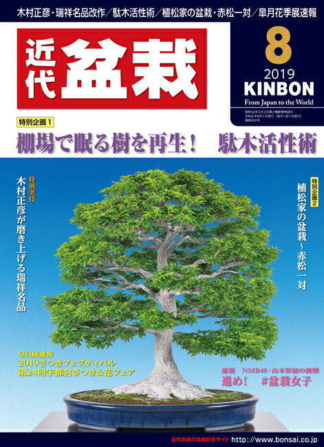 月刊「近代盆栽」2019年8月号