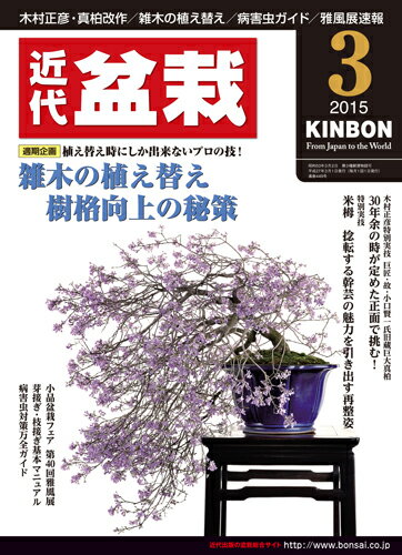 月刊「近代盆栽」2015年3月号 1