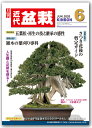 月刊「近代盆栽」2020年6月号