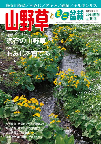 隔月刊「山野草とミニ盆栽」14年陽春号