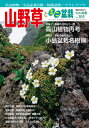 平成26年6月12日(木)発売 高嶺の花をもう一度 特集1　高山植物再考 ●高山植物作例集 ●ベテラン愛好家紹介・平林昭芳さん ●ベテラン愛好家紹介・住友　孝さん こだわり職人からの提言・産賀勇男 季節の美を味わう 特集2　小品盆栽名樹撰 初夏〜初秋に見どころを迎える盆栽樹種、その魅力をズラリ紹介! 2号連続特別企画　すぐに役立つ! 季節外れの根処理法 岡　圭亮 緊急企画 秘蔵盆器、公開なる! 田中本家博物館 ●豪商の館に眠る逸品盆器 ●盆器コレクションの概要 速報 第28回日草展 特別展観・集中掲載錦蘭の美 特別実技 初めての寄せ植えづくり4 園咲正照 Q&A特別版　フジの育て方 園咲正照 好評連載第51回　花は友達　久志博信 ★小山飾りトピックス ★2014年千葉・全国ウラシマソウ図譜 世界の小球根 その21　ナルキッスス/ガランサス/レイコユム　　小山　毅 世界花紀行 特別版・世界のグラジオラス　　冨山　稔 充実の連載ラインナップ ◆園咲正照の好評・読者参加企画 ・山野草なんでもQ&A ・悩み相談・ミニ盆栽駆け込み寺 ●はなのかたち ●草木のハーモニー　奏デル盆栽図鑑　加藤文子 ●草景花　　山根景子 ●季節のおすすめBONSAI ●山野草原風景シリーズ　　いがりまさし ●図解　ミニ盆栽・珍樹種探訪　　群　境介 ●出会いの花たち　　森　和男 ●地方発変異植物　九州名草選 ●山野草栽培　この時期の作業・管理ポイント ●ミニ盆栽作業ガイド　今月やっておきたい作業・管理 ●全国イベントガイド ●豪華賞品付　山野草ミニ・クイズ ●花の広場