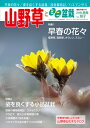 隔月刊「山野草とミニ盆栽」15年新春号