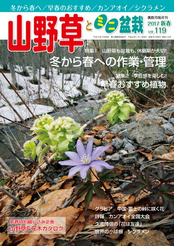 隔月刊「山野草とミニ盆栽」17年新春号