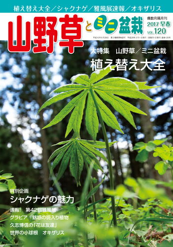 隔月刊「山野草とミニ盆栽」17年早春号