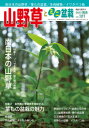 隔月刊「山野草とミニ盆栽」17年陽春号