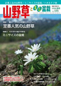 隔月刊「山野草とミニ盆栽」18年新春号