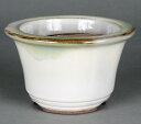 盆栽鉢 山野草鉢 小石原焼白釉丸鉢 4号 11cm 白色 ホワイト 小品盆栽 ミニ盆栽 山野草 野草に最適
