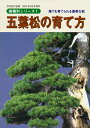 書籍 本 盆栽専門誌「五葉松の育て方」ゴヨウマツ 手入れ 管理 切り方 曲げ方 植え替え 剪定 水やり 消毒など作業がよく分かる 【送料無料】