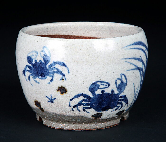 盆栽鉢 山野草鉢 「信楽焼絵付丸鉢(蟹)」 小品 ミニ盆栽 野草 草物に最適