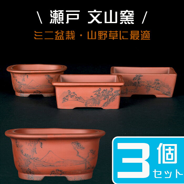 楽天市場】ミニ盆栽鉢 瀬戸焼の通販 楽天市場】ミニ盆栽鉢 瀬戸焼の通販