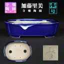 盆栽鉢 加藤里美瑠璃釉木瓜式鉢 植木鉢 瀬戸 さとみ 5号 16cm ネイビー 小品盆栽 ミニ盆栽に最適