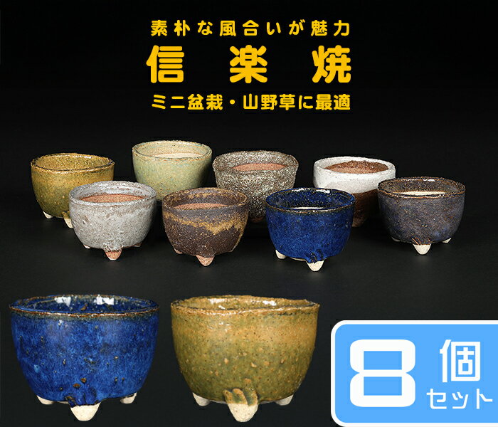 楽天市場】植木鉢 2号(種類(植木鉢)盆栽鉢)の通販 楽天市場】植木鉢 2号(種類(植木鉢)盆栽鉢)の通販