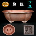 盆栽鉢 黎鳳木瓜式鉢 植木鉢 常滑 片岡黎鳳 泥鉢 7号 22cm 松柏盆栽に最適