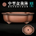 盆栽鉢 紫泥外縁木瓜式鉢 植木鉢 中国鉢 張氏製陶 落款あり 15号 45cm 中品鉢 シデイ ブラウン 松柏盆栽に最適 【送料無料】