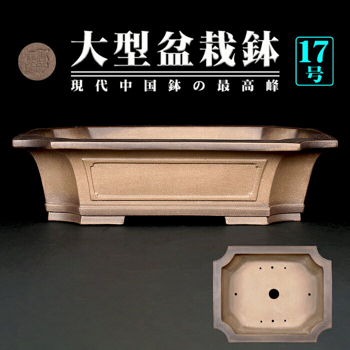 楽天市場】落款(種類(植木鉢)盆栽鉢)(植木鉢|植木鉢 楽天市場】落款(種類(植木鉢)盆栽鉢)(植木鉢|植木鉢