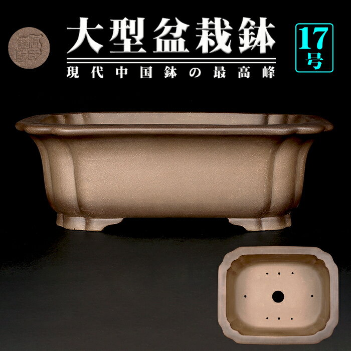 楽天市場】落款(種類(植木鉢)盆栽鉢)(植木鉢・プランター 楽天市場】落款(種類(植木鉢)盆栽鉢)(植木鉢・プランター