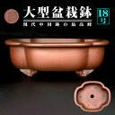 盆栽鉢 紫泥外縁木瓜式鉢 植木鉢 中国鉢 張氏製陶 落款あり 18号 55cm 大型鉢 シデイ ブラウン 松柏盆栽に最適