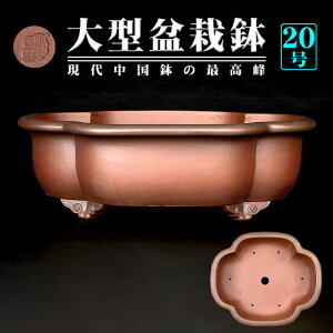 盆栽鉢 紫泥外縁木瓜式鉢 植木鉢 中国鉢 張氏製陶 落款あり 20号 60cm 大型鉢 シデイ ブラウン 松柏盆栽に最適