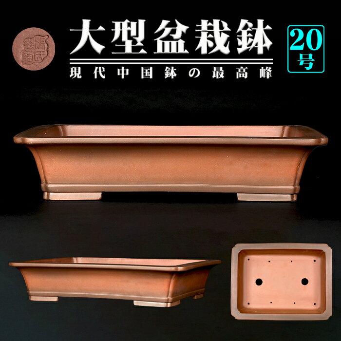 長方鉢 盆栽鉢 植木鉢 小品盆栽鉢 大品盆栽鉢 zz500hw_h.jpg