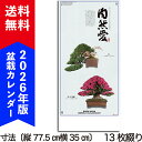 2026年盆栽カレンダー 「自然愛(長)」 令和8年 壁かけカレンダー 盆栽の詳細解説付 自然愛 四季を感じる盆栽カレンダー 13枚つづり 送料無料