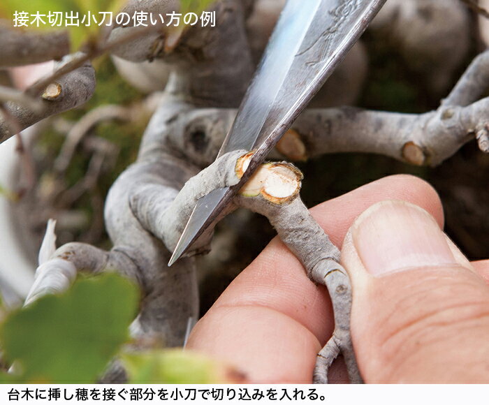 �ߺ�ƻ�� �ߺϼ�����ƻ�� �������ڽ� �� �� �����ڤ�Ф� ���� �ߺϤ����� ����ڤδľ����� ��ȴ�����κ��ľ�� ���� ������Ħ��� ��Ĺ200mm ������̵����