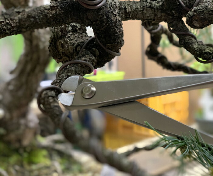 �ߺ�ƻ�� �ߺϼ�����ƻ�� ���ܿ��ѿ˶��ڤ� �� �� �˶��ڤ�Х��� �ߺϤ����� ���� �˶⤫�� �˶�Ϥ�����ɬ�ܥ����ƥ� ��Ĺ215mm ������̵����