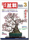 月刊「近代盆栽」2021年3月号