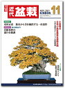 月刊「近代盆栽」2021年11 月号