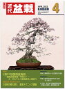 月刊「近代盆栽」2023年4月号 初心者からベテラン愛好家まで、見やすく内容充実の盆栽総合誌!! 盆栽 近盆 kinbon bonsai 月刊誌 趣味の雑誌 送料無料