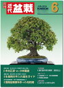 月刊「近代盆栽」2024年6月号 初心者からベテラン愛好家まで、見やすく内容充実の盆栽総合誌!! 盆栽 近盆 kinbon bonsai 月刊誌 趣味の雑誌 送...