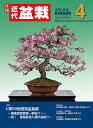 月刊「近代盆栽」2025年4月号 初心者からベテラン愛好家まで、見やすく内容充実の盆栽総合誌!! 盆栽 近盆 kinbon bonsai 月刊誌 趣味の雑誌 送...