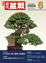 月刊「近代盆栽」2025年6月号 初心者からベテラン愛好家まで、見やすく内容充実の盆栽総合誌!! 盆栽 近盆 kinbon bonsai 月刊誌 趣味の雑誌 送...