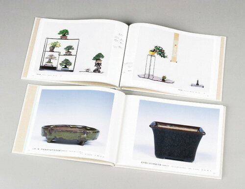 ���� �� �ߺ���������35�� ����Ÿ��ǰġ�� �����ߺ� �ߥ��ߺ� �ߺ�ȭ ���� �ʾ���μ̿��� ���ԻԴ��ȴۤߤ䤳��ä����� bonsai photobook gafu bonsaiexhibition ������̵����