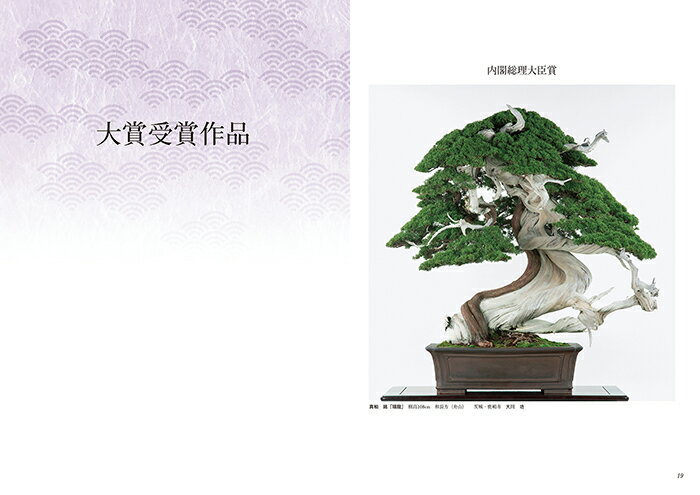 ���� �� �ߺ���������42�� �����ߺ����Ÿ ��ǰĢ���ߺ� ���� ���� ���� ��ʪ ���� ���� �ʾ���μ̿��� bonsai photobook taikanten bonsaiexhibition ������̵����